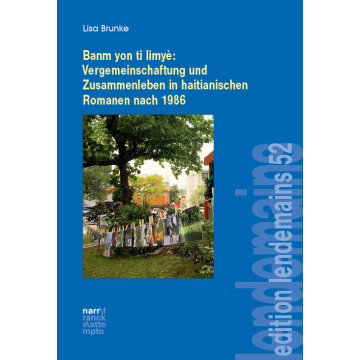 Banm yon ti limyè: Vergemeinschaftung und Zusammenleben in haitianischen Romanen nach 1986