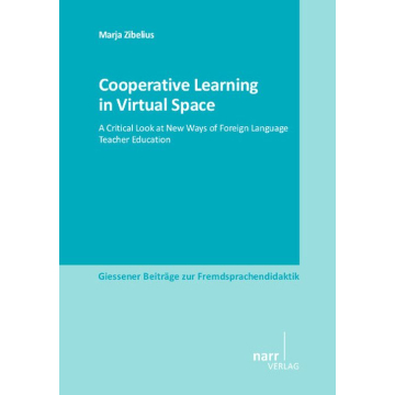 Cooperative Learning in Virtual Space