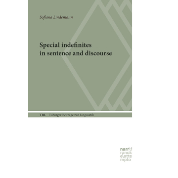 Special Indefinites in Sentence and Discourse