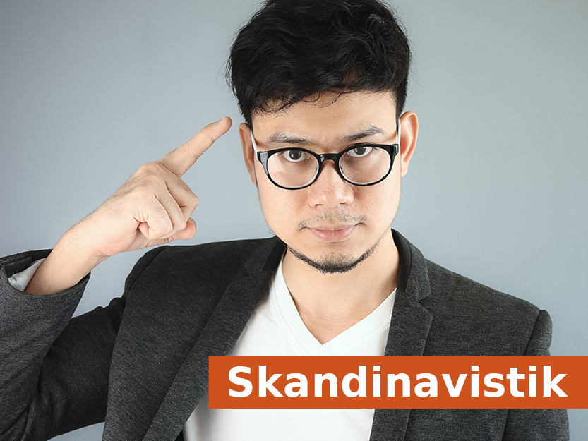 Skandinavistik